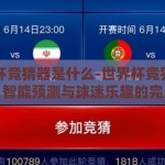 世界杯竞猜器是什么-世界杯竞猜器的奥秘，智能预测与球迷乐趣的完美融合