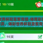 体彩世界杯冠亚军竞猜-体育彩票中的智慧博弈，体彩世界杯冠亚军竞猜全解析