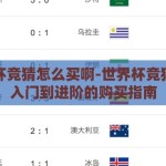 世界杯竞猜怎么买啊-世界杯竞猜，从入门到进阶的购买指南