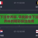 在哪里下注世界杯-寻找最佳下注点，世界杯的精彩投注指南