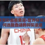世界杯竞彩去哪里买-世界杯竞彩，如何选择合适的购买渠道