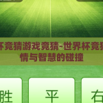 世界杯竞猜游戏竞猜-世界杯竞猜，激情与智慧的碰撞