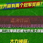 世界杯竞猜奖品-世界杯竞猜，激情与惊喜的碰撞