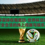 世界杯买球在哪里玩-世界杯足球热潮，安全合法的线上观赛与娱乐指南