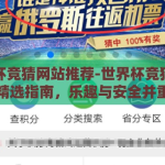 世界杯竞猜网站推荐-世界杯竞猜网站精选指南，乐趣与安全并重