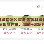 世界杯竞猜怎么赢钱-世界杯竞猜，策略与智慧并重，赢取乐趣与收益