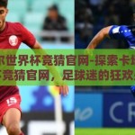 卡塔尔世界杯竞猜官网-探索卡塔尔世界杯竞猜官网，足球迷的狂欢盛宴