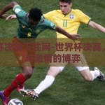 世界杯决赛下注网-世界杯决赛，理性与激情的博弈