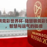 陆慧明竞彩世界杯-陆慧明竞彩世界杯，智慧与运气的碰撞