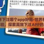 世界杯下注哪个app好用-世界杯观赛新体验，探索高效下注APP的奥秘