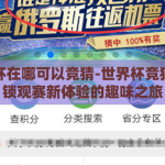 世界杯在哪可以竞猜-世界杯竞猜，解锁观赛新体验的趣味之旅