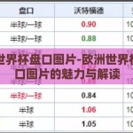 欧洲世界杯盘口图片-欧洲世界杯，盘口图片的魅力与解读