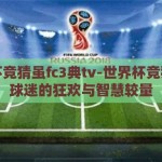 世界杯竞猜虽fc3典tv-世界杯竞猜，足球迷的狂欢与智慧较量