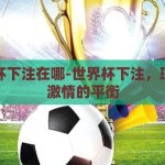 世界杯下注在哪-世界杯下注，理性与激情的平衡