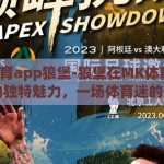 mk体育app狼堡-狼堡在MK体育APP中的独特魅力，一场体育迷的盛宴