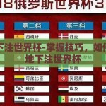 如何下注世界杯-掌握技巧，如何智慧地下注世界杯