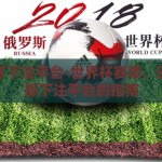 世界杯下注平台-世界杯赛事，理性选择下注平台的指南