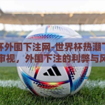 世界杯外围下注网-世界杯热潮下的理性审视，外围下注的利弊与风险