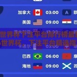 2026世界杯下注平台排行榜最新推荐-2026世界杯，下注平台精选指南与策略洞察