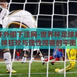 世界杯外围下注网-世界杯足球赛，全球狂欢与理性观赛的平衡