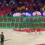 体彩竞彩世界杯冠军-体育迷的狂欢，体彩竞彩世界杯冠军的激情与策略