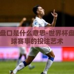 世界杯盘口是什么意思-世界杯盘口，足球赛事的投注艺术