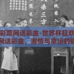 世界杯彩票网送彩金-世界杯狂欢季，彩票网送彩金，激情与幸运的碰撞