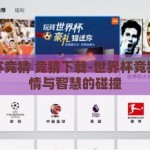 世界杯竞猜 竞猜下载-世界杯竞猜，激情与智慧的碰撞