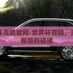 世界杯竞猜官网-世界杯竞猜，激情与智慧的碰撞
