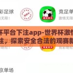 世界杯平台下注app-世界杯激情与理性投注，探索安全合法的观赛新体验