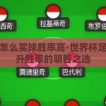 世界杯怎么买球胜率高-世界杯足球，提升胜率的明智之选