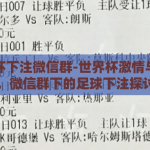 世界杯下注微信群-世界杯激情与理性，微信群下的足球下注探讨
