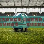 足球世界杯竞猜奖-足球世界杯，激情与智慧的碰撞——竞猜奖的魅力