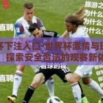 世界杯下注入口-世界杯激情与理性下注，探索安全合法的观赛新体验