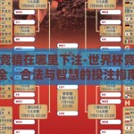 世界杯竞猜在哪里下注-世界杯竞猜，安全、合法与智慧的投注指南