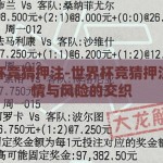 世界杯竞猜押注-世界杯竞猜押注，激情与风险的交织