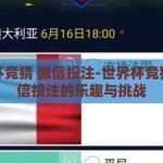 世界杯竞猜 微信投注-世界杯竞猜，微信投注的乐趣与挑战
