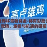 体彩世界杯竞猜奖金-体育彩票世界杯竞猜，激情与机遇的碰撞