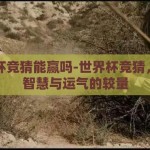 世界杯竞猜能赢吗-世界杯竞猜，一场智慧与运气的较量