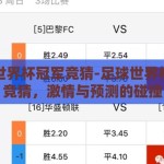 足球世界杯冠军竞猜-足球世界杯冠军竞猜，激情与预测的碰撞