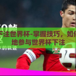 如何下注世界杯-掌握技巧，如何智慧地参与世界杯下注