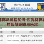 世界杯体彩竞猜买法-世界杯体彩竞猜的智慧策略与乐趣