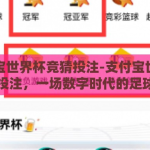 支付宝世界杯竞猜投注-支付宝世界杯竞猜投注，一场数字时代的足球盛宴