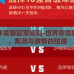 世界杯竞猜冠军规则-世界杯竞猜冠军，规则与激情的碰撞
