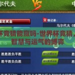 世界杯竞猜能赢吗-世界杯竞猜，一场智慧与运气的博弈