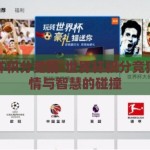 世界杯积分竞猜-世界杯积分竞猜，激情与智慧的碰撞