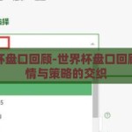 世界杯盘口回顾-世界杯盘口回顾，激情与策略的交织