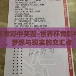 世界杯竞彩中奖票-世界杯竞彩中奖票，梦想与现实的交汇点
