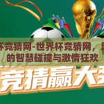 世界杯竞猜网-世界杯竞猜网，足球迷的智慧碰撞与激情狂欢