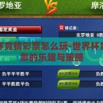 世界杯竞猜彩票怎么玩-世界杯竞猜彩票的乐趣与策略